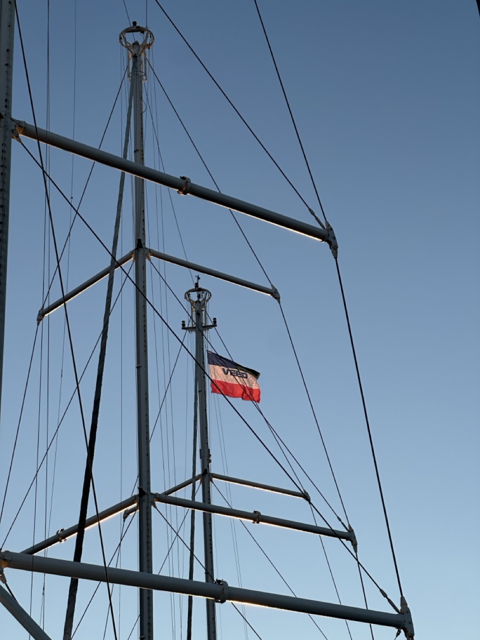 The VEED flag at full mast